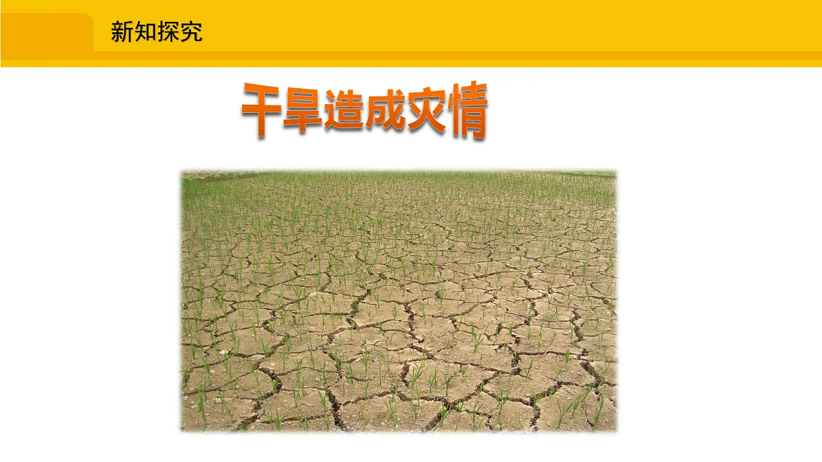 17325610第4页