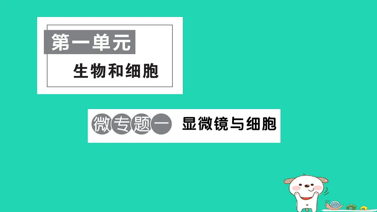 17325631第1页