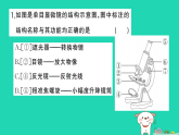 2025七年级生物上册第一单元生物和细胞第二章认识细胞微专题一显微镜与细胞作业课件新版新人教版（含答案）