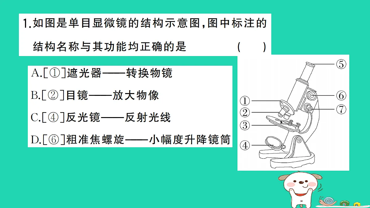 17325631第2页