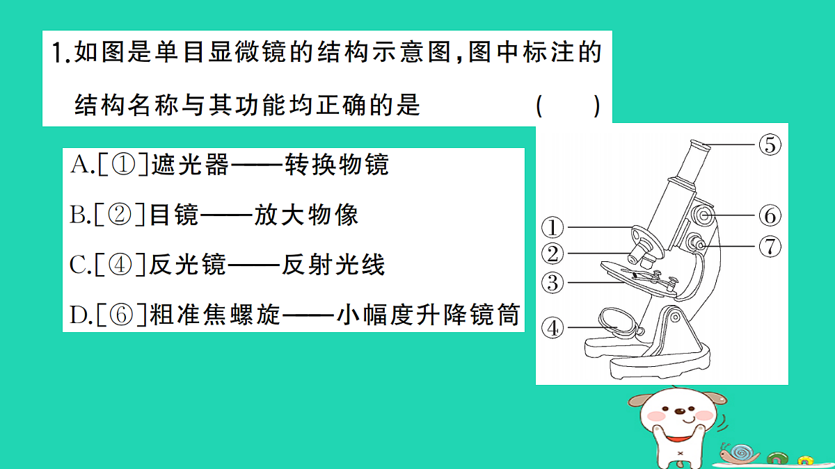 17325631第2页