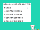 2025七年级生物上册第一单元生物和细胞第二章认识细胞微专题一显微镜与细胞作业课件新版新人教版（含答案）
