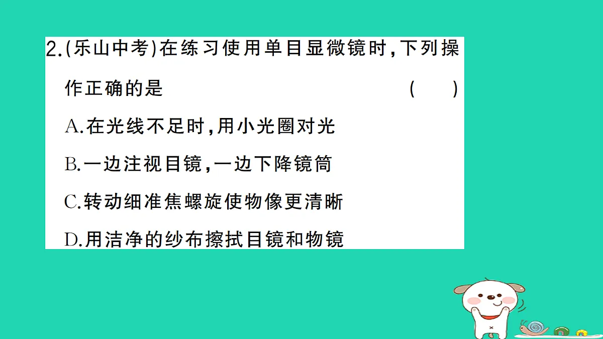 17325631第3页
