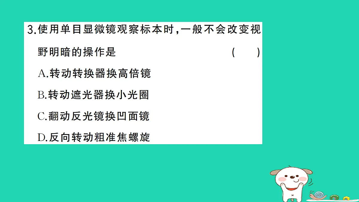 17325631第4页