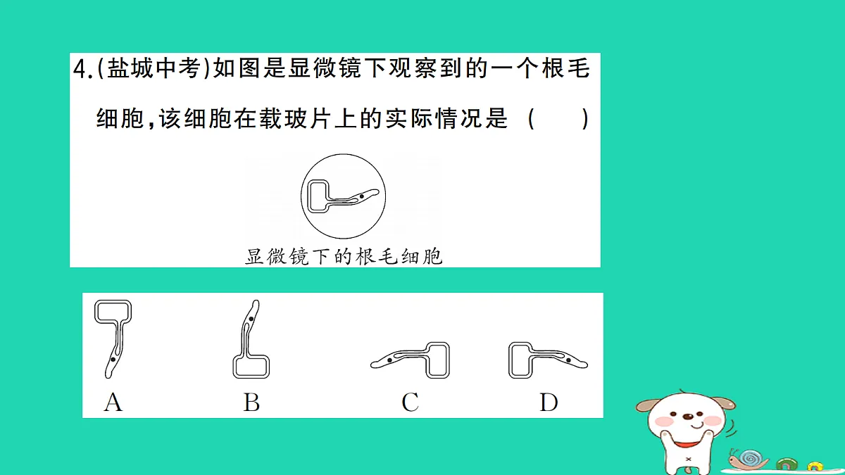 17325631第5页