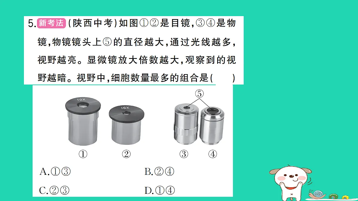 17325631第6页