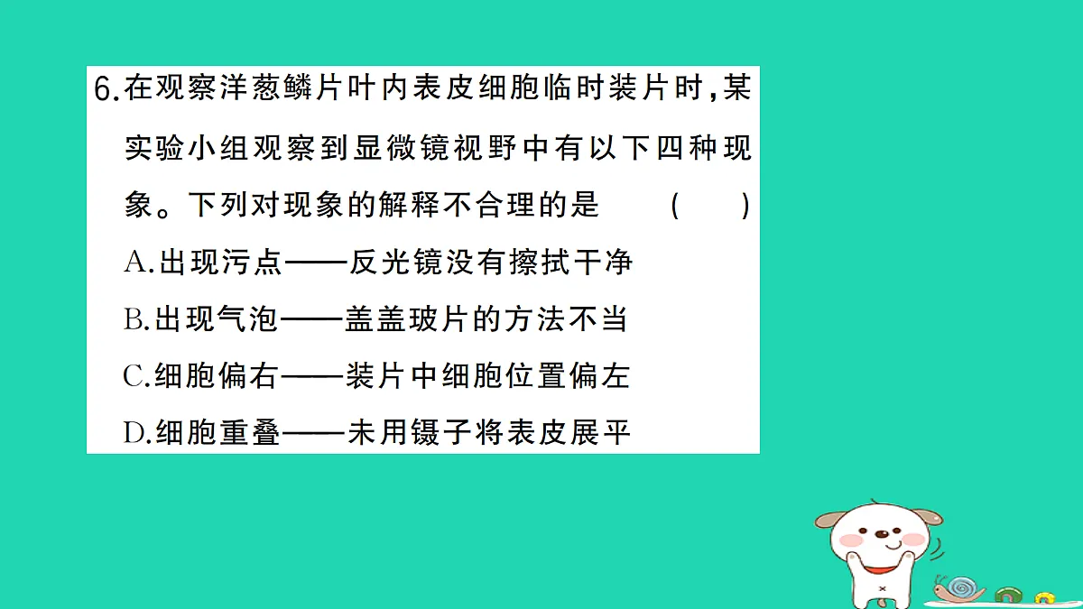 17325631第7页