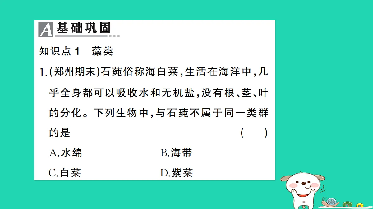 17325632第2页