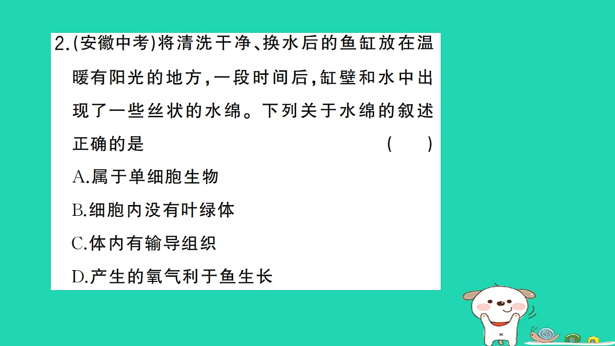 17325632第3页
