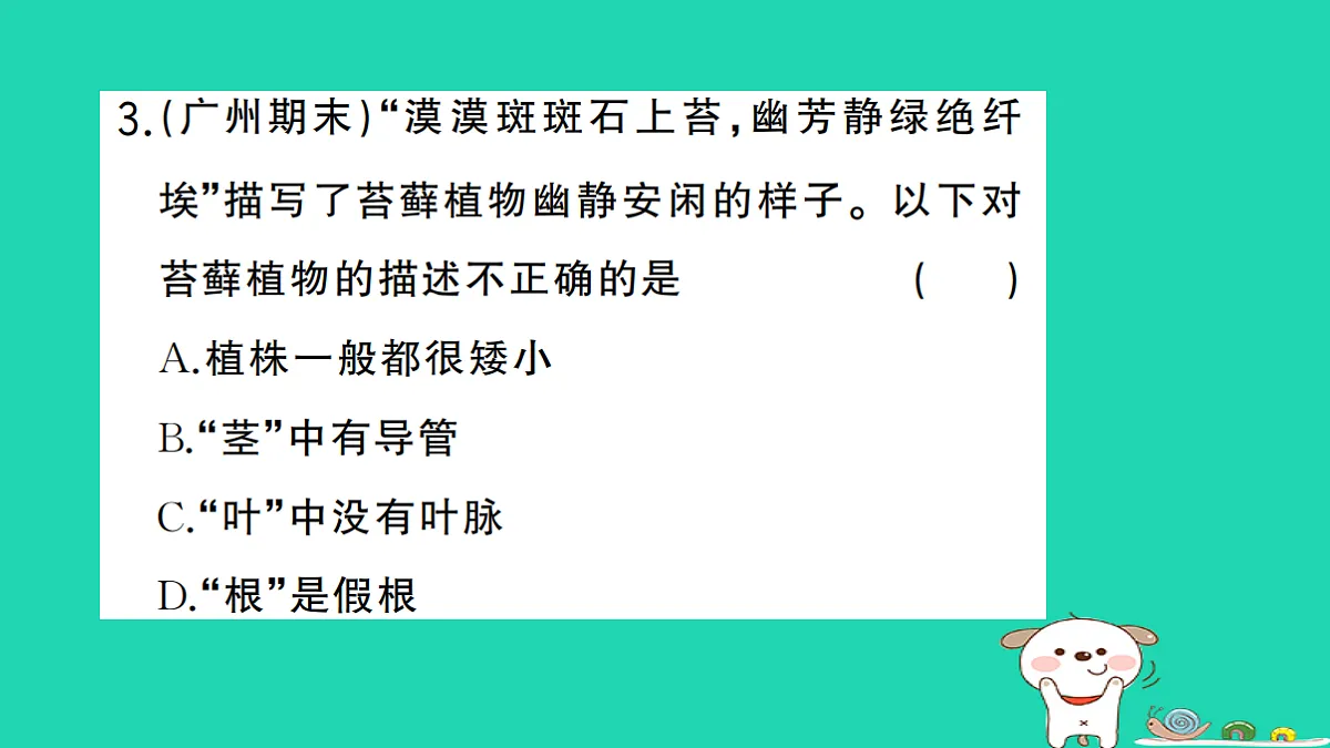 17325632第4页