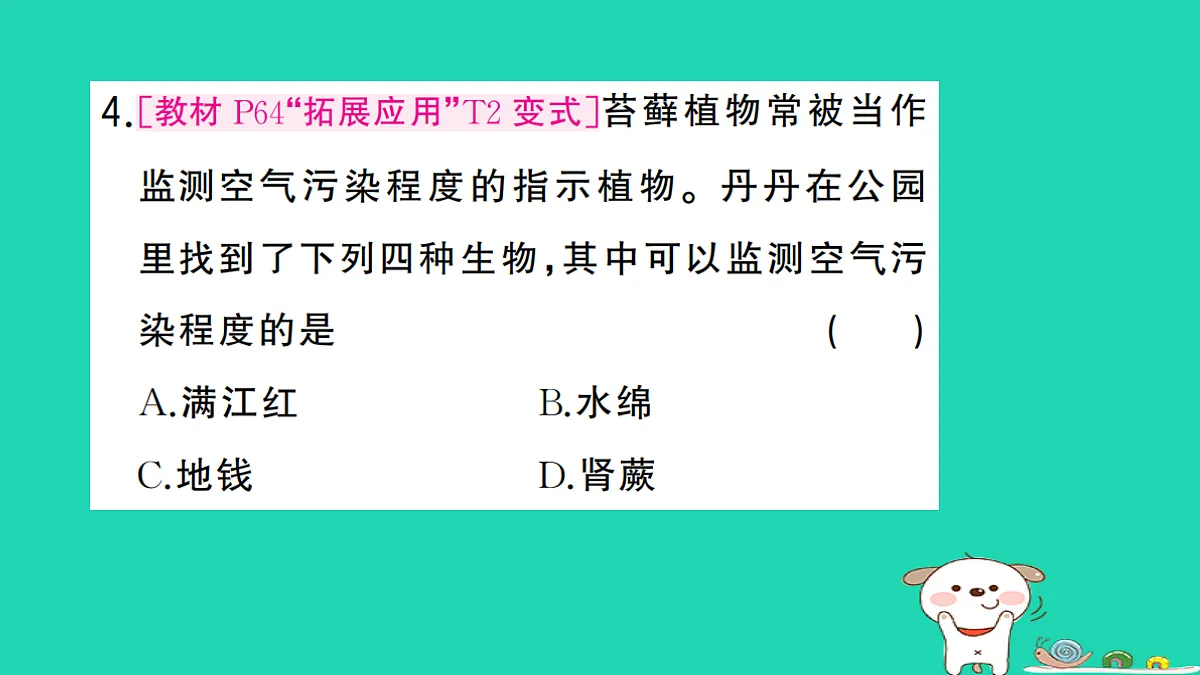 17325632第5页