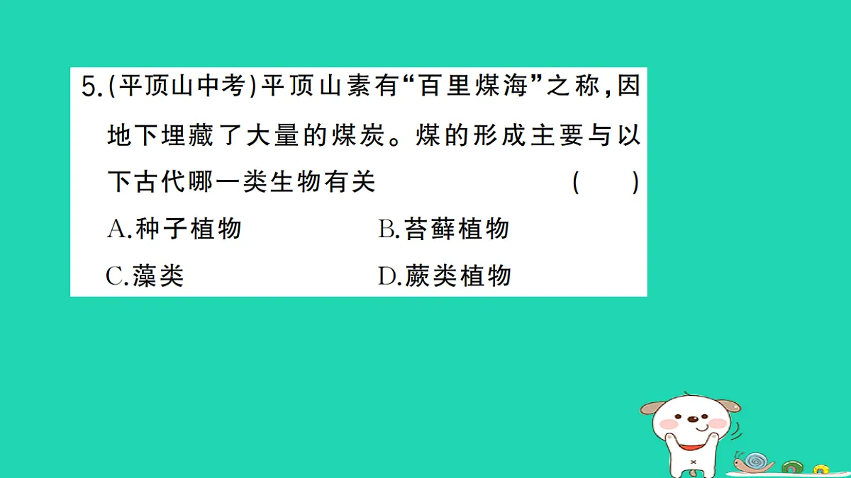 17325632第6页