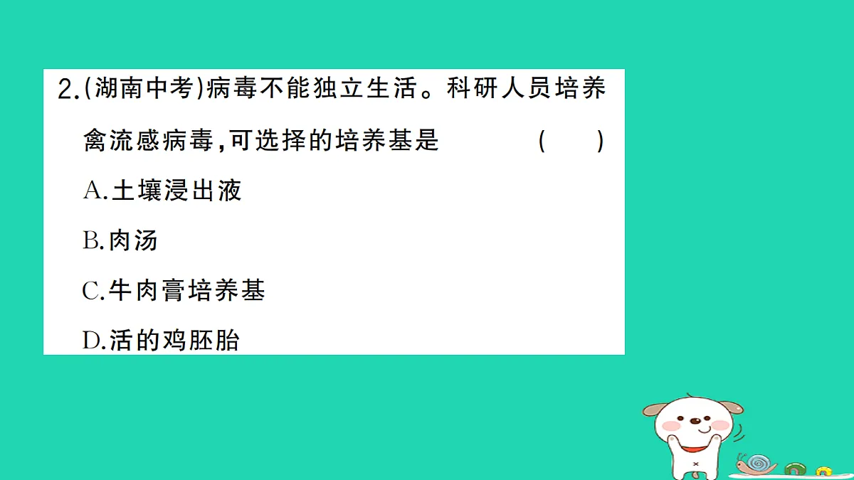 17325633第3页