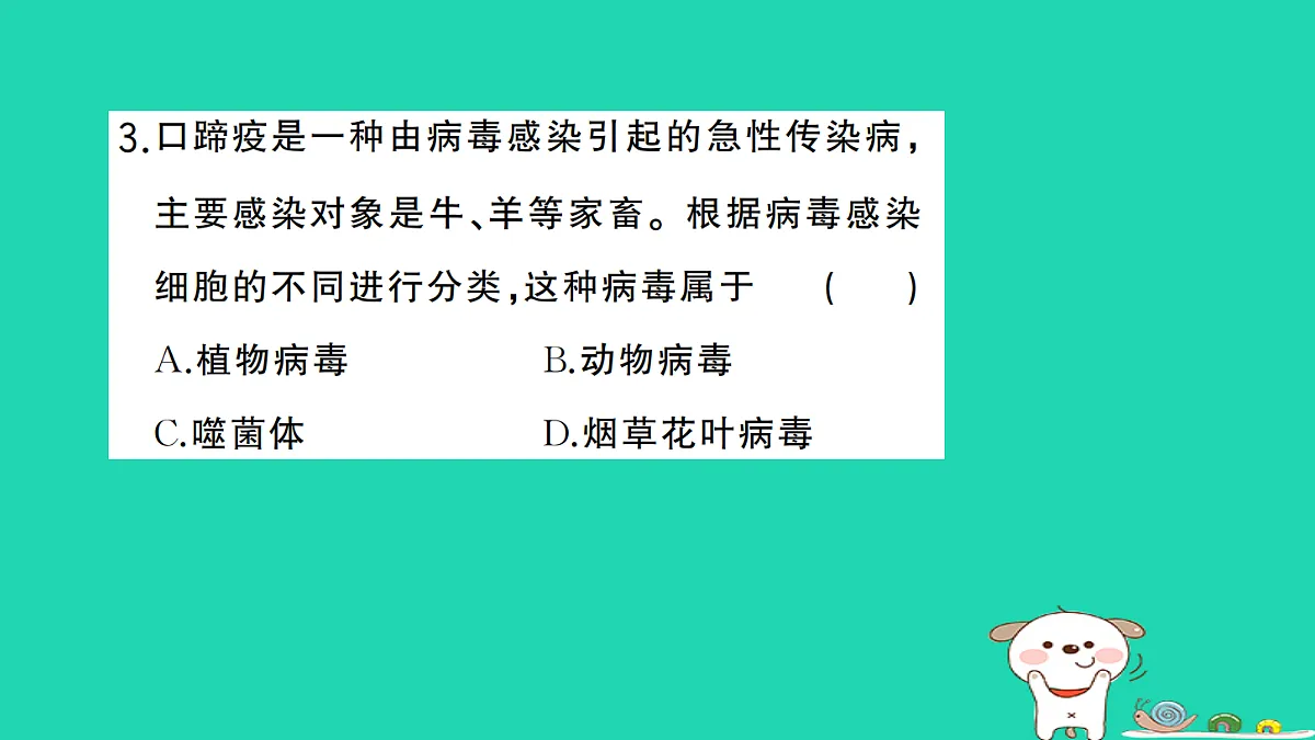 17325633第4页