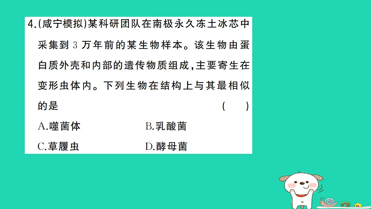 17325633第5页