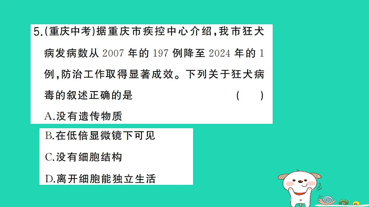 17325633第6页