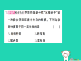 2025七年级生物上册第二单元第三章微生物微专题三微生物的结构特征及与人类的关系作业课件新版新人教版（含答案）