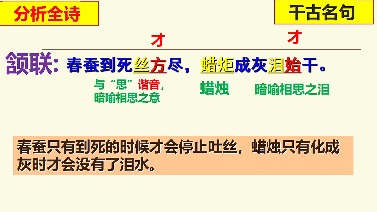 17325719第8页