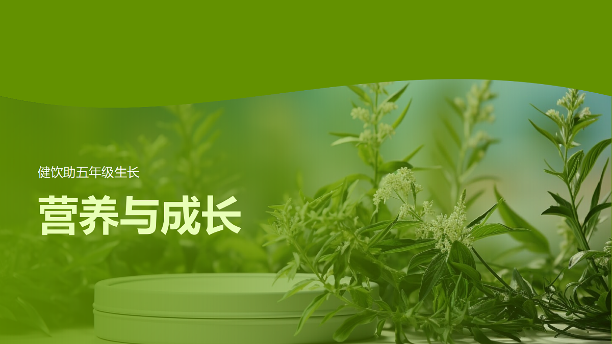 17325787第1页