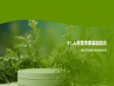 五年級兒童成長營養(yǎng)健康膳食計劃課件