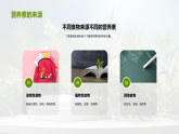 五年級兒童成長營養(yǎng)健康膳食計劃課件