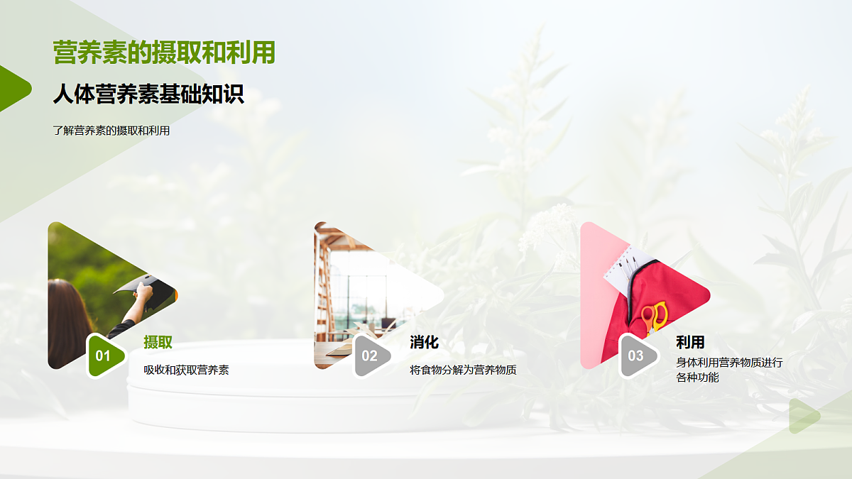 17325787第7页
