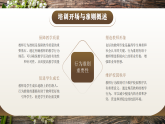 棕色簡約風(fēng)教師行為準(zhǔn)則培訓(xùn)課件