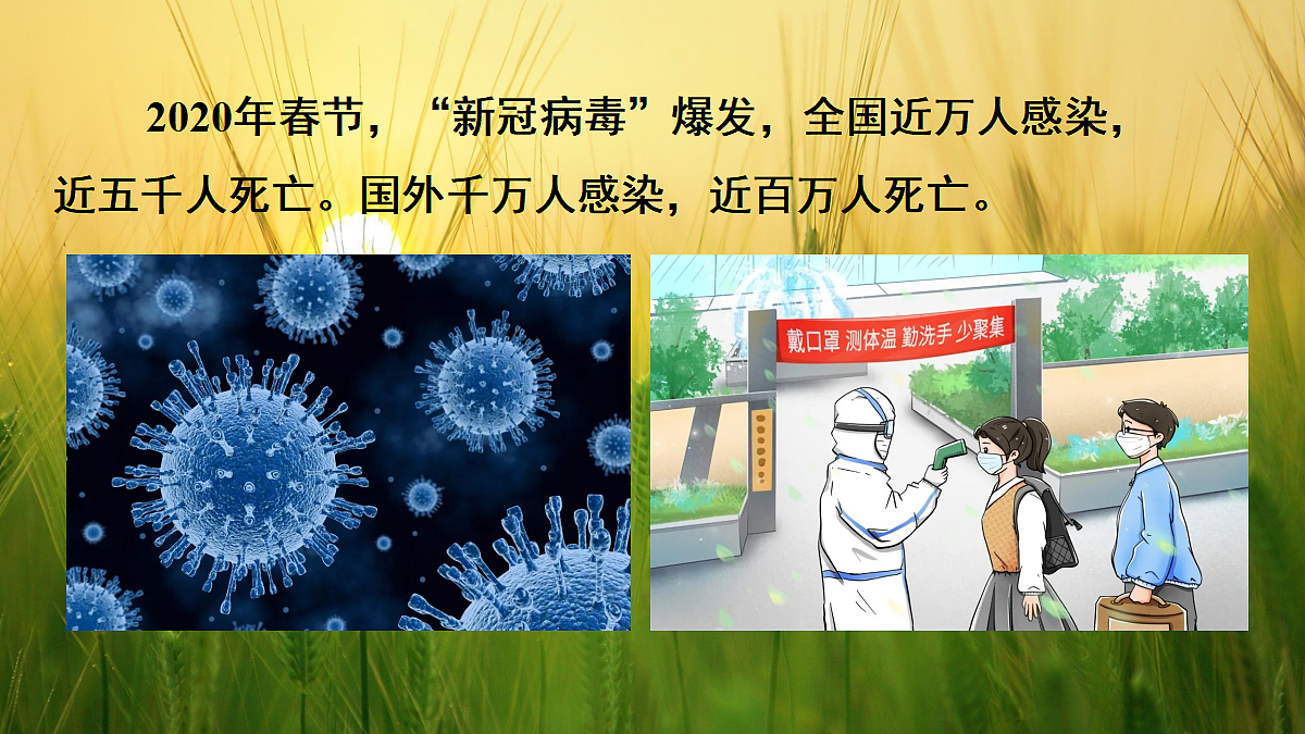 17326481第2页
