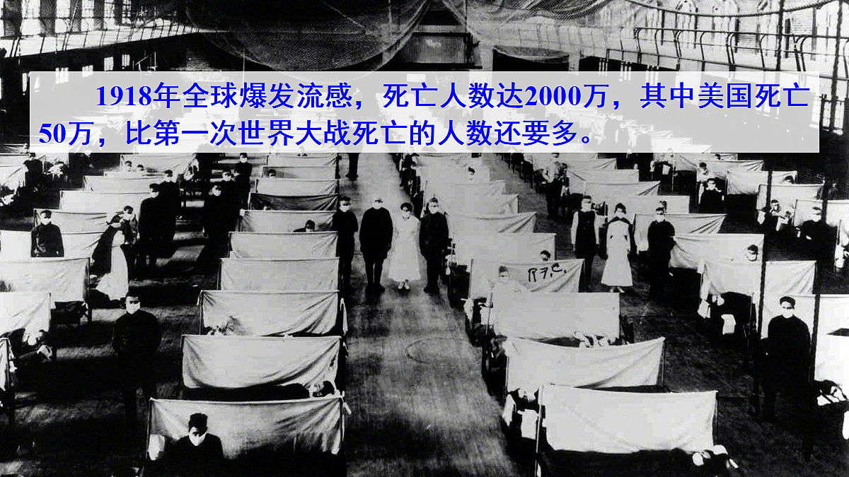 17326481第3页