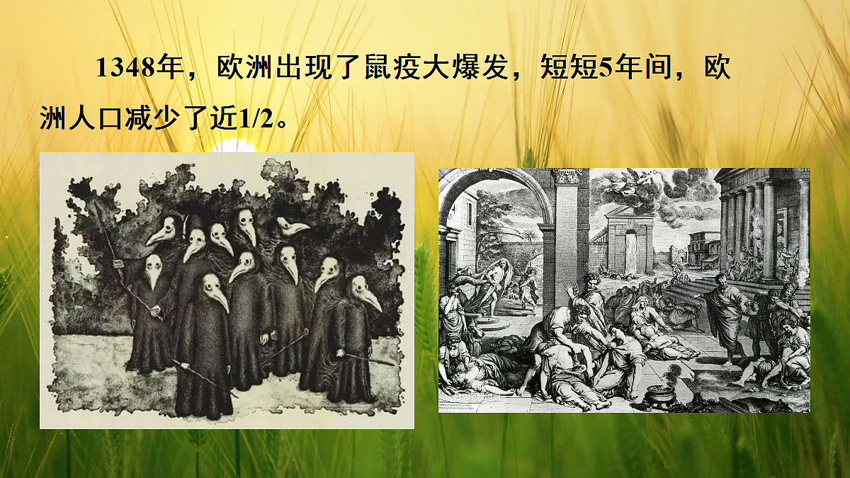 17326481第4页