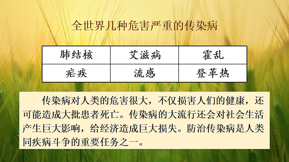 17326481第5页