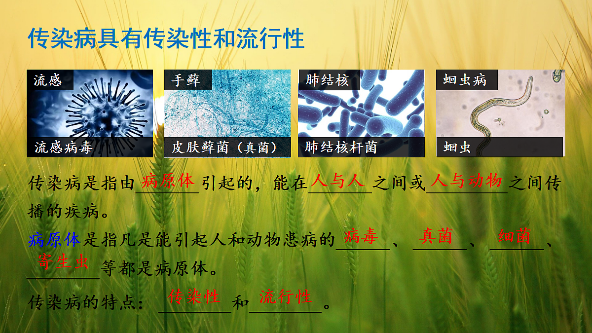 17326481第6页