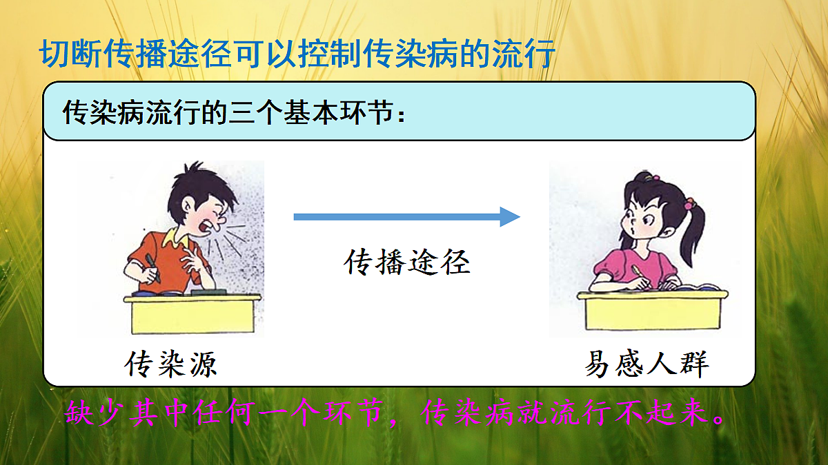 17326481第8页