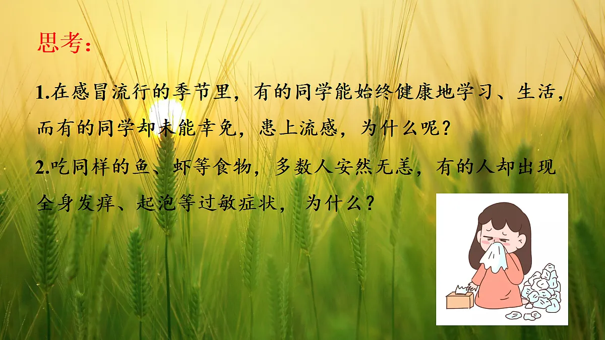 17326482第2页