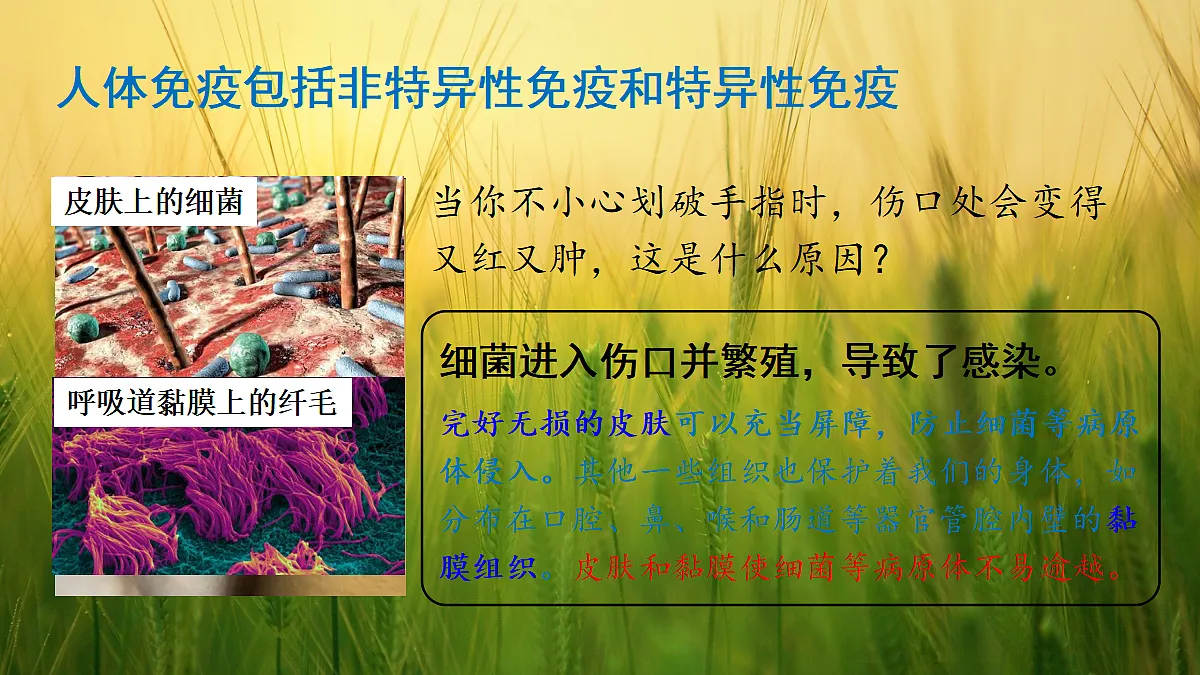 17326482第3页