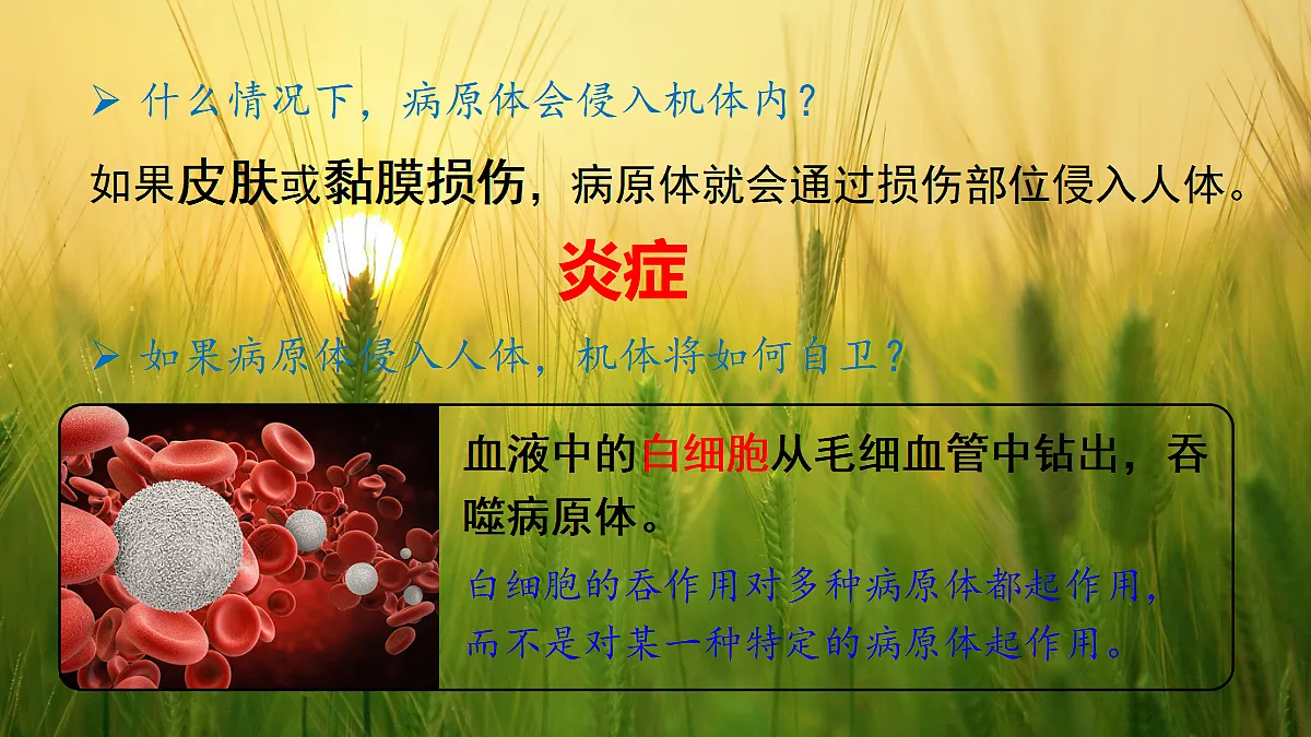 17326482第4页