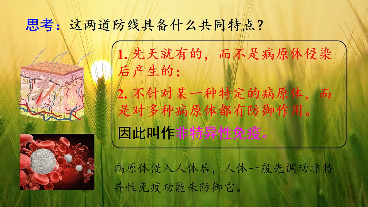 17326482第5页
