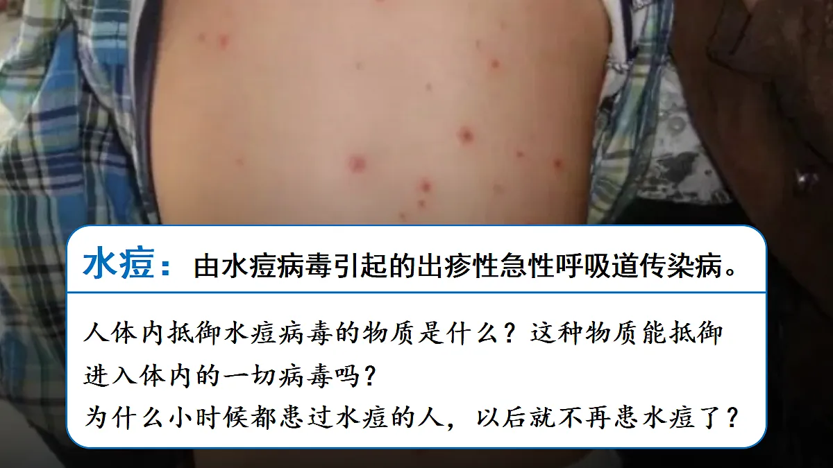 17326482第6页