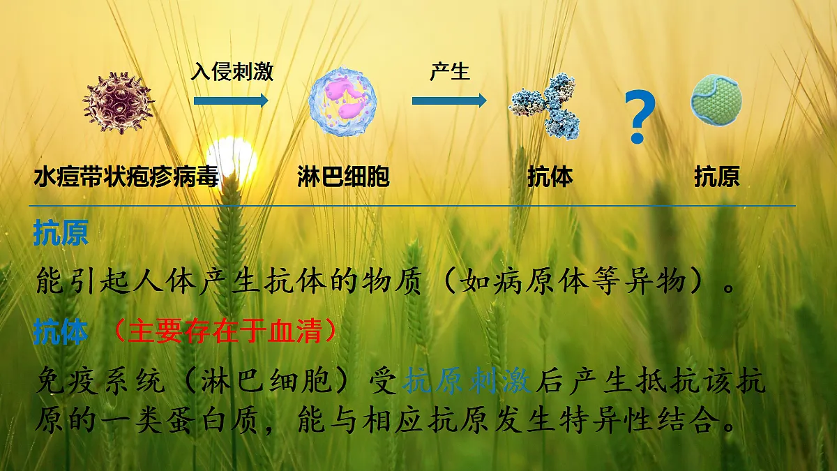 17326482第7页