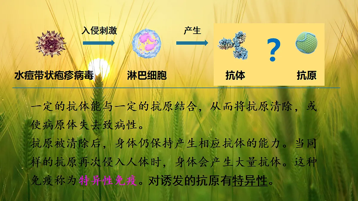 17326482第8页
