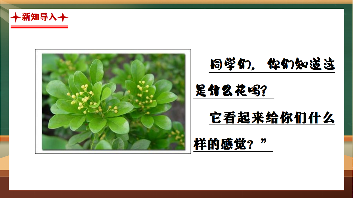 17326487第2页