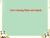 初中  英语  人教版（2024）  八年级上册Unit 4 Amazing Plants and Animals Section A 单词课件