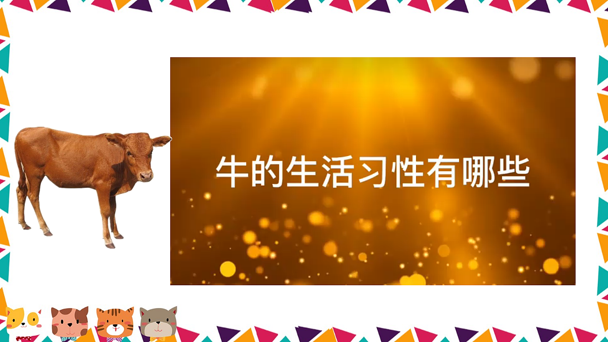 任务二 亲近动物，丰富生命体验【课件】第6页