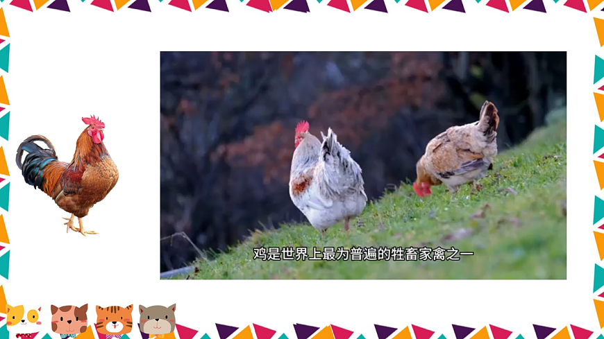 任务二 亲近动物，丰富生命体验【课件】第7页