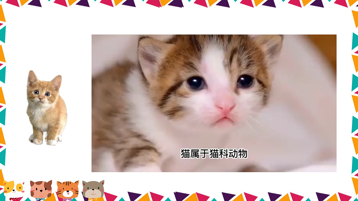 任务二 亲近动物，丰富生命体验【课件】第8页