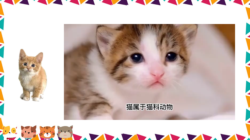 任务二 亲近动物，丰富生命体验【课件】第8页