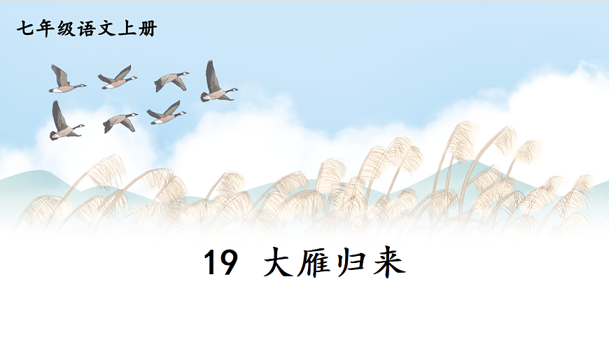 19 大雁归来【课件】第1页