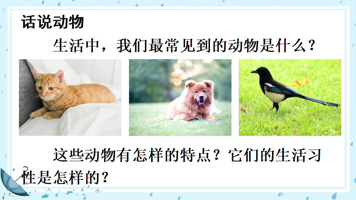 任务三 记叙与动物的相处【课件】第3页