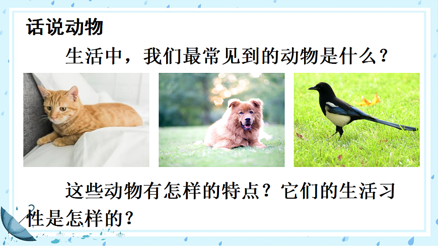 任务三 记叙与动物的相处【课件】第3页