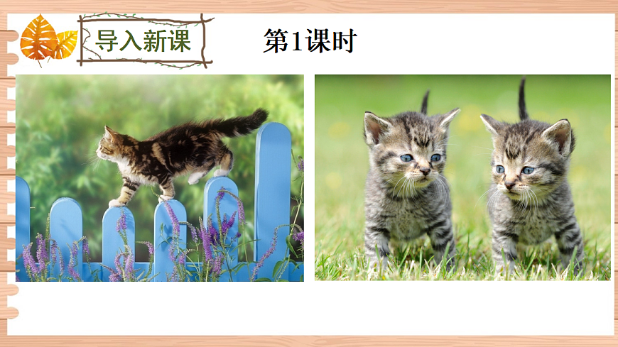 17 猫【课件】第2页